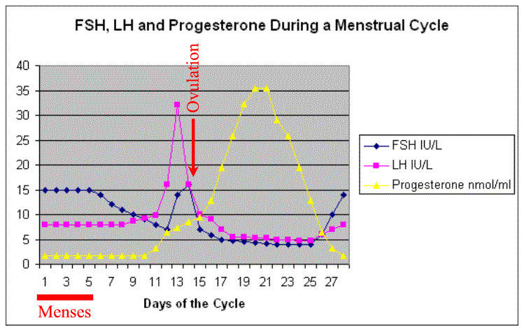 Normal Fsh And Lh Levels During Menstrual Cycle